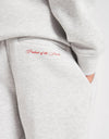 Hood Rich Embroided grey Tracksuit 13715