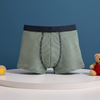 LCW Green Lining kids Boxer 13952