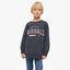MN Baseball Grey Sweatshirt 10910