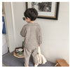 Gentelman Check Pant Coat Suiting Set 11844