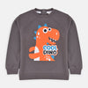 Cool Dino Brown Sweatshirt 6309