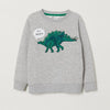 HM Dinoraur Grey Sweatshirt 5568
