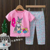 Rabbit Pink Shirt and Trouser Set 10722